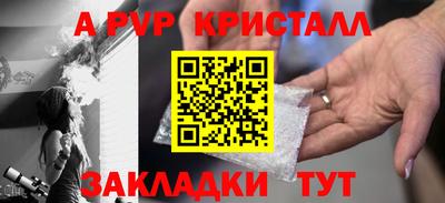 прущие грибы Новозыбков