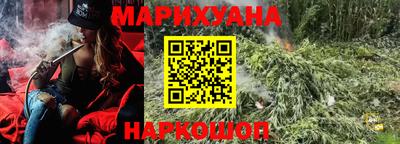 прущие грибы Новозыбков