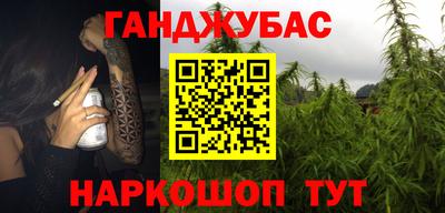 прущие грибы Новозыбков