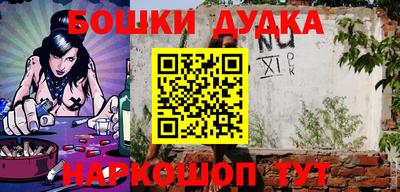 прущие грибы Новозыбков