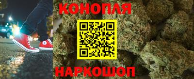 прущие грибы Новозыбков