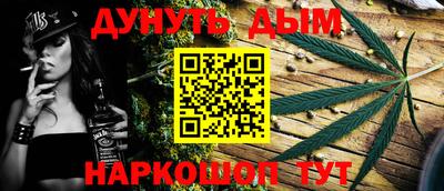 прущие грибы Новозыбков