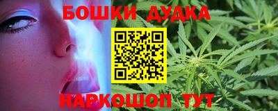 прущие грибы Новозыбков