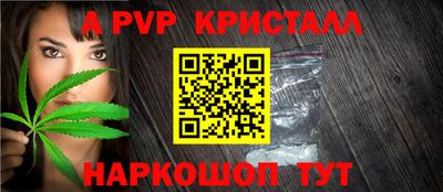 прущие грибы Новозыбков