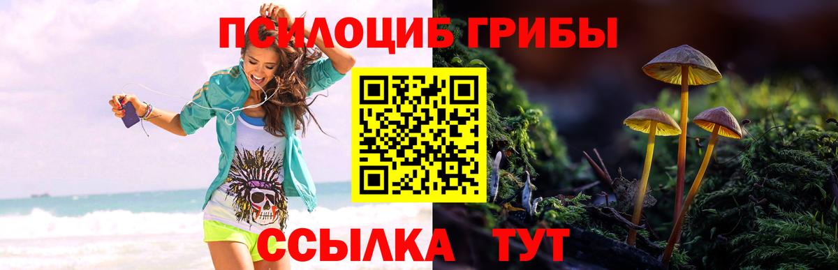 Галлюциногенные грибы прущие грибы  Вход с VPN  Сланцы 