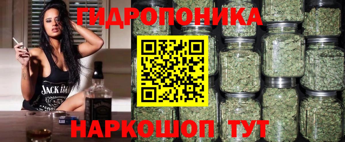 Канабис сатива Сланцы